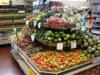 /album/galeria-de-fotos/dsc01446-jpg/